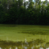La g&eacute;ographie de la Basse Rivi&egrave;re d'Ain